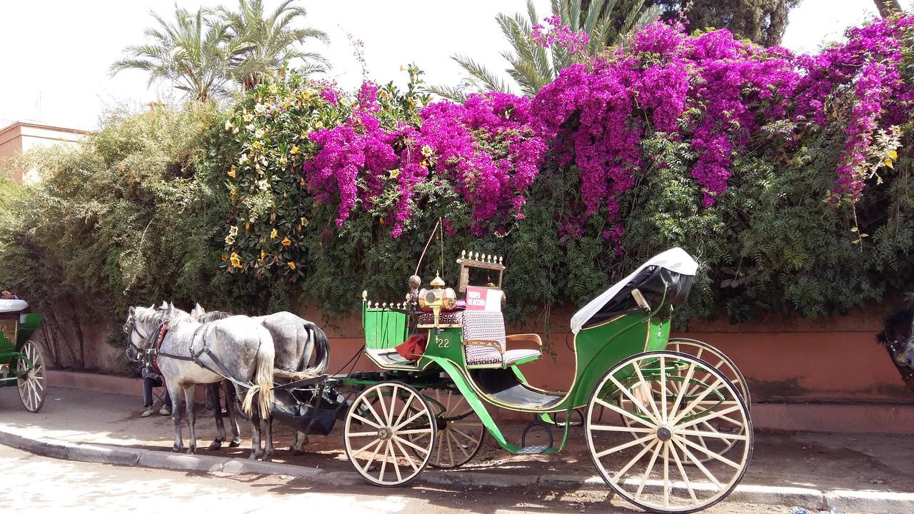 Mirador De Majorelle, The Apartment Is Only For Families Marrakesh Exteriör bild