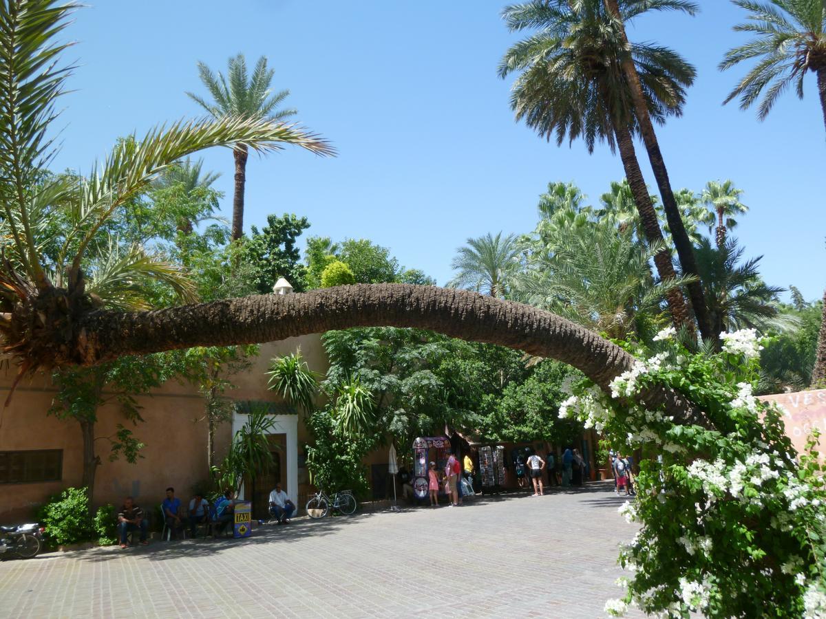 Mirador De Majorelle, The Apartment Is Only For Families Marrakesh Exteriör bild